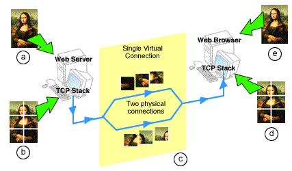 Component links are bonded